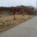 신산4리 이미지