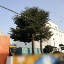 (주)창조건설 이미지