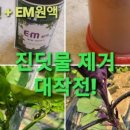 주아농장 이미지