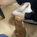 유미네민박 네이버블로그