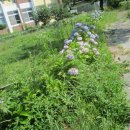 순천공업고등학교 이미지