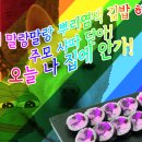 뿌리김밥