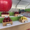 금상농장 이미지