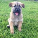 지성농장 이미지