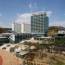 141 경북매일