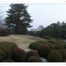 동광여인숙 Daum카페