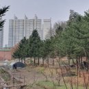 해원군묘 이미지