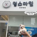 전주용소초등학교 | 전주 송천동 애견미용 추천 &#34; 멍스마일&#34; 위생목욕 +얼굴컷 만족 후기