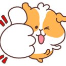 와일드복싱짐 안양관 이미지