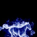 단국대 나래태권도 이미지