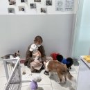 동백동물병원 이미지