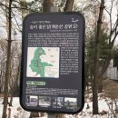 개운산공원 네이버블로그