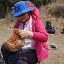 천주산식당 이미지