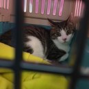 황제 동물병원 이미지