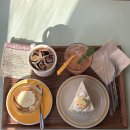 [대전] 카페 ’모도시‘ 망고 요거트 꿈돌이 케이크 추천 후기