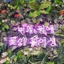켈러 - 남구 왕생로 21 | 배곧 피어싱샵 추천, 피어싱켈러리 다녀온 후기