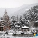국립희리산해송자연휴양림 이미지
