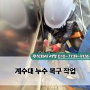 주식회사아산이엔씨 | 아산 월랑초등학교 계수대 누수 복구 현장 후기