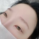 속눈썹쟁이