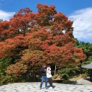 통일전 화장실 이미지