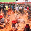 수박&토마토 축제 이미지