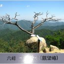 법흥주유소