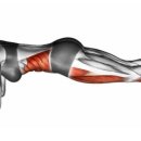 일생의 피티 이미지