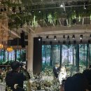 72 | [Wedding 22.] 크레스트 72 웨딩홀 후기 | 제 마음 속 2순위 웨딩홀🤍 겨울 예식 하객 시점 리뷰