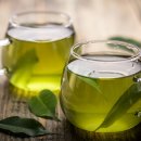 보성선운제다 이미지