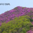 제193차 "가평" 꽃보다 펜션 시산제 변경 이미지