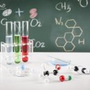 선창초교 이미지