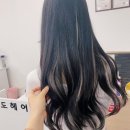 도도헤어포인트