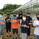 개령서부초교 이미지