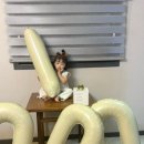 제주더썸플러스 풀빌라수산 이미지