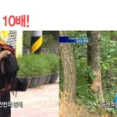 아이러브안경원 네이버블로그
