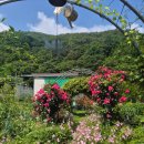 사과집민박 이미지