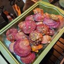 세븐일레븐 영천단포대로점 이미지