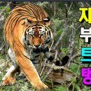 통합리듬댄스 네이버블로그