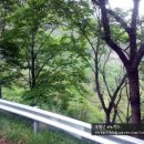 추월산이보이는집 이미지