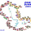 미진백도(황강환종주)288km, 정글을 헤쳐 나가다. 이미지