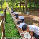 충북도 산림환경연구소, 미동산 유아숲체험원 참여기관 모집 이미지