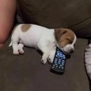 진성빌딩 | 먹고 찜질하고 또 먹는 26년 기록, 벌써..3월이요....? (군불로,진성한우곱창,오근내닭갈비)