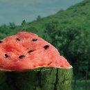 오복카페 이미지