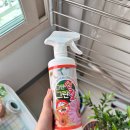 두정꽃화원