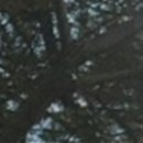 굿플러스치과의원 이미지