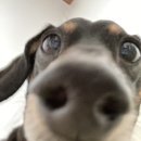 물스토리