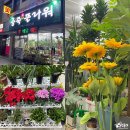 송죽화원