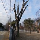 고양누리길 14코스 바람누리길 이미지