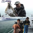 도시어부 이미지
