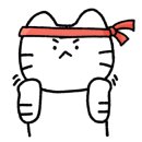 백호합기도 이미지